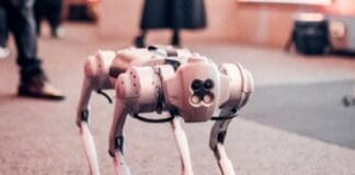 Security Flaw Found in Unitree Go1 Robot Dogs Image by Pexels