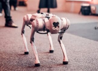 Why Future Ground Robots Won’t Need Pre-Programmed Gaits Image by Pexels