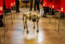 The Radiation-Sniffing Robot Dog Image by Pexels