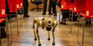 Robot Dogs Deployed in Joint U.S.-South Korea Drills for Underground Warfare Training Image by Pexels