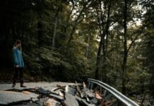 New AI System Detects Damage in Buildings and Enhances Infrastructure Safety Image by Unsplash