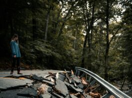 Image by Unsplash