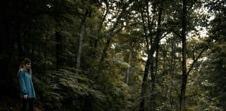 מערכת בינה מלאכותית חדשה מזהה מראש מבנים שעומדים לקרוס Image by Unsplash