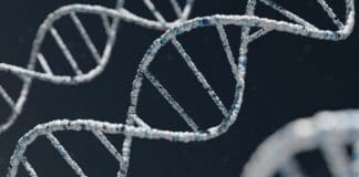 מסד נתונים גנטי פתוח יימחק לאור חששות הולכים וגוברים סביב שימוש לרעה Image by Unsplash