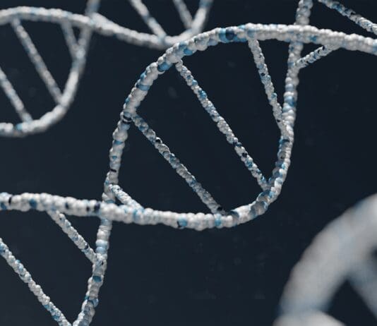 Open-Source Genetic Database Shuts Down Amid Growing Concerns of Misuse Image by Unsplash