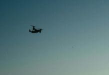 רוסיה חושפת קליעים נגד רחפנים מבוססי טונגסטן Image by Pexels