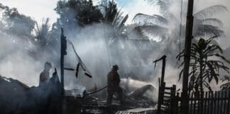 MIT מפתחת רובוט שיסייע במשימות חיפוש והצלה Image by Pexels