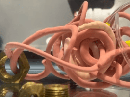 Worm-Inspired Swarm Robots Offer New Approach to Search and Rescue Robotics