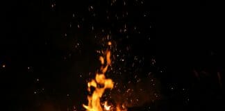 חיישן אינפרא-אדום החדש לוקח השראה מחיפושית האש