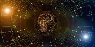 One AI, Many Bodies: A New Approach to Generalized Robotics Control