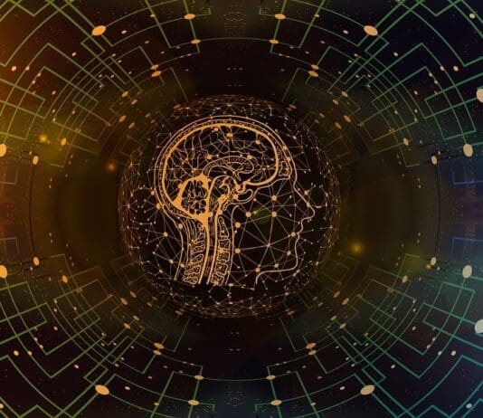 One AI, Many Bodies: A New Approach to Generalized Robotics Control