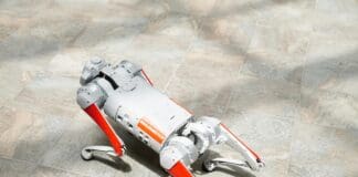 Robotic Dogs Deployed for Mosquito Control Amid Virus Combat Efforts