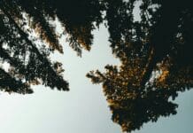 Compact Foldable Drone Demonstrates Fast Deployment and Instant Stability