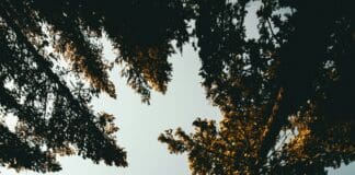 רחפן מתקפל קומפקטי מדגים פריסה מהירה ויציבות מיידית