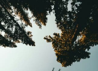 Compact Foldable Drone Demonstrates Fast Deployment and Instant Stability