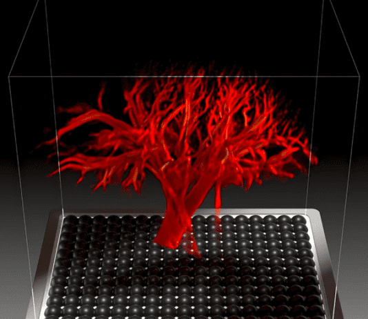 מפה מלאה של זרימת הדם בארבעה מימדים