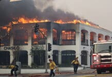 ChatGPT Logs Used in Investigation of Los Angeles Wildfire Suspect