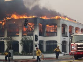 היסטוריית שיחות עם ChatGPT שימשה בחקירת חשוד בשריפת הענק בלוס אנג'לס