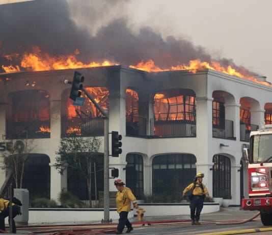 ChatGPT Logs Used in Investigation of Los Angeles Wildfire Suspect