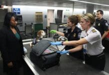 סריקות ביטחוניות בתנועה: טכנולוגיה חדשנית משנה את פני האבטחה