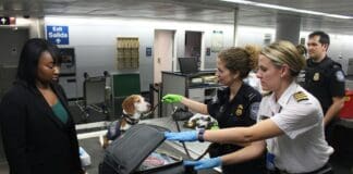 סריקות ביטחוניות בתנועה: טכנולוגיה חדשנית משנה את פני האבטחה