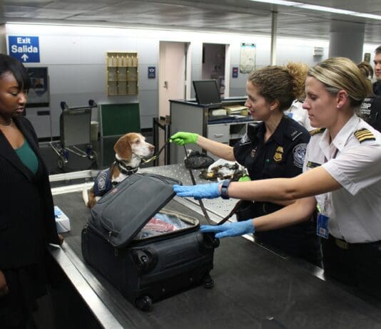 סריקות ביטחוניות בתנועה: טכנולוגיה חדשנית משנה את פני האבטחה