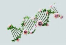 כמו פרחים בטבע: רובוטי דנ"א זעירים שמשנים את חוקי המשחק הרפואי