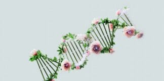 כמו פרחים בטבע: רובוטי דנ"א זעירים שמשנים את חוקי המשחק הרפואי