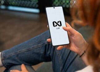 קפיצה בזיהוי חזותי: בינה מלאכותית לומדת להבחין בפריטים אישיים