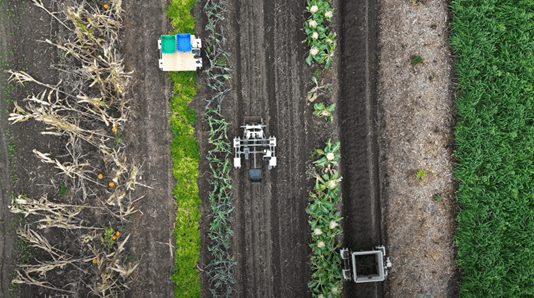 בינה מלאכותית על השדה: רובוטים חקלאיים ללא נהג