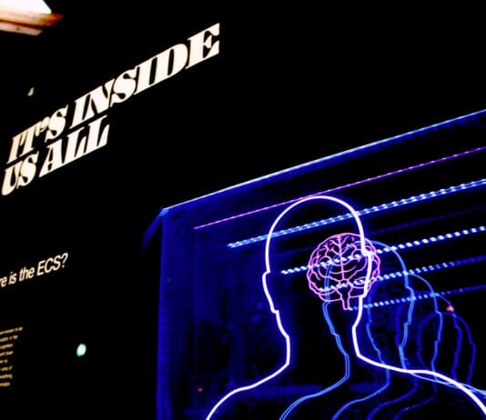 Drones Gain a Brain: Unified Autonomy Takes Shape