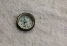 GPS-Free Navigation: How Robots Are Learning from Insects, Birds, and Rodents