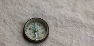 רובוטים לומדים לנווט כמו בעלי חיים בסביבות מורכבות