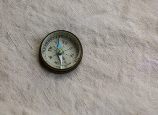 GPS-Free Navigation: How Robots Are Learning from Insects, Birds, and Rodents