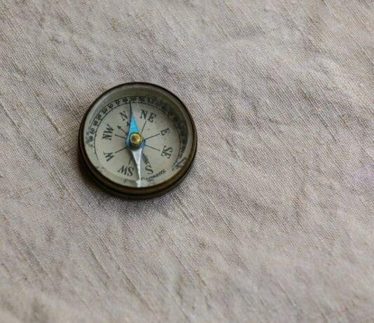 רובוטים לומדים לנווט כמו בעלי חיים בסביבות מורכבות