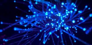 This Fiber Trick Could Simplify Secure Laser Links in the Sky