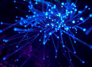 This Fiber Trick Could Simplify Secure Laser Links in the Sky