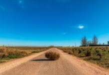 The Hybrid Rover That Drifts Like a Weed and Navigates Like a Drone