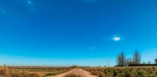 The Hybrid Rover That Drifts Like a Weed and Navigates Like a Drone