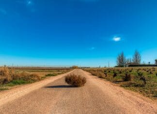 גישה חדשה לסיור מסוכן: רובוט שמגלגל את עצמו וממריא רק כשצריך