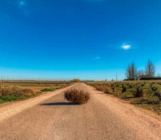 גישה חדשה לסיור מסוכן: רובוט שמגלגל את עצמו וממריא רק כשצריך
