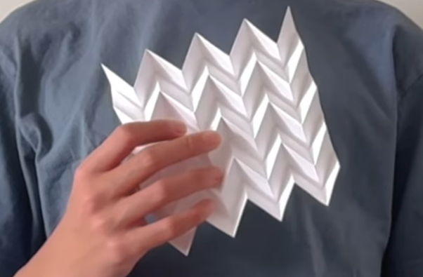 Image from SocietyForScience on Youtube Image from SocietyForScience on Youtube