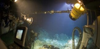 A Game-Changing Ocean Watchdog That Never Sleeps