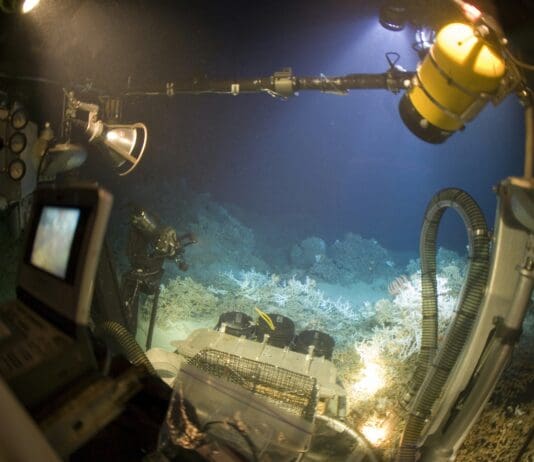 A Game-Changing Ocean Watchdog That Never Sleeps