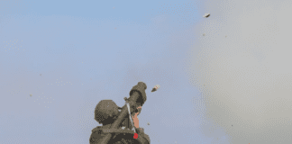 האבולוציה המפחידה: כטב"ם מתאבד שהפך לצייד אווירי Image by Wikimedia (Creative Commons)