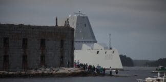 כשחמקנות פוגשת תקיפה היפרסונית בים Image by Wikimedia (Creative Commons)