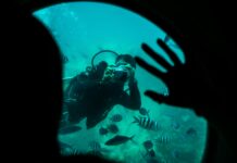 How Fiber Cables Are Becoming Silent Underwater Sensors