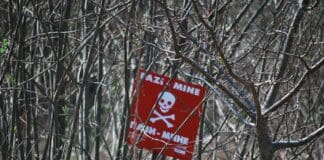 A New Robot Makes Explosives No Longer Stand a Chance