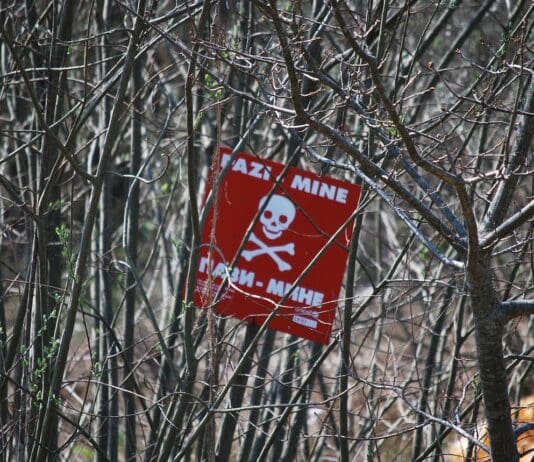 A New Robot Makes Explosives No Longer Stand a Chance