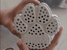 A Silent Signal Designed to Save Pets in Smoke-Filled Buildings Image from Rescue Retriever on YouTube